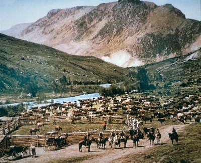 Cattle Ranch, Colorado alkotó: American Photographer