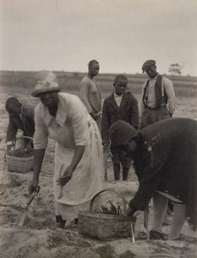 Terepmunka alkotó: American Photographer