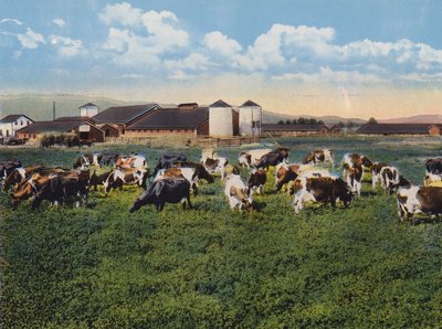 H R Timm Dairy, Dixon, Kalifornia (színes fénykép) alkotó: American Photographer