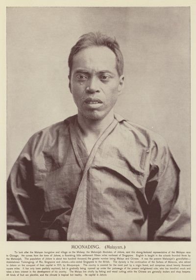 Holding, maláj alkotó: American Photographer