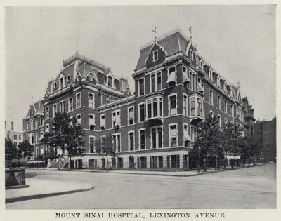 Mount Sinai Kórház, Lexington Avenue (f/w fotó) alkotó: American Photographer