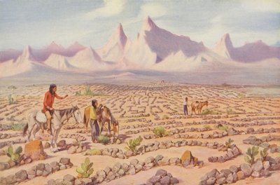 A Mojave indiánok misztikus útvesztője, Needles közelében, Kalifornia (színes fotó) alkotó: American Photographer
