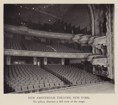 New Amsterdam Theatre, New York (fekete-fehér fotó) alkotó: American Photographer