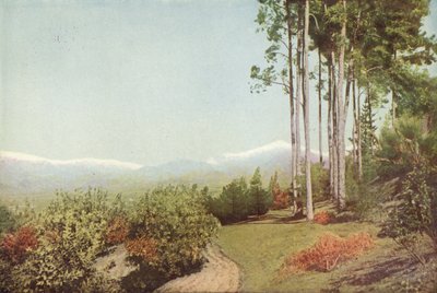 Old Baldy, Smiley Heightsból, Kaliforniából (színes fotó) alkotó: American Photographer