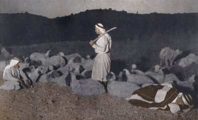 Palesztin pásztorok figyelik éjszakai nyájukat (színes fotó) alkotó: American Photographer