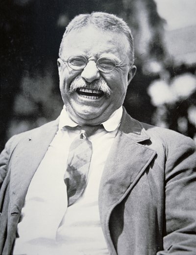 Theodore Roosevelt elnök, 1917 körül (f/w fotó) alkotó: American Photographer