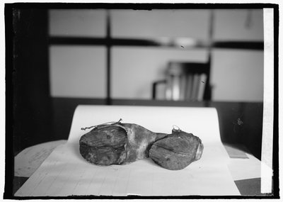 Tiltó egység (tehéncipő), 1924. június 28. (f/w fotó) alkotó: American Photographer