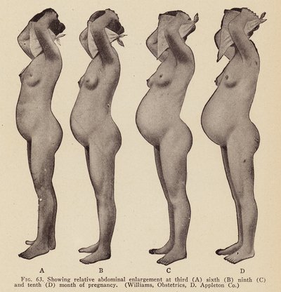 A terhesség jelei és tünetei (fekete-fehér fotó) alkotó: American Photographer