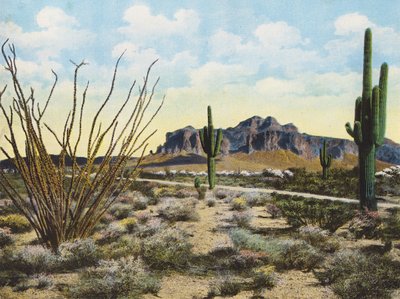 Superstition hegység és sivatag, "Apache Trail" (színes fotó) alkotó: American Photographer