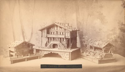Svájci házak, faragott modellek, Philadelphia Centennial International Exhibition, 1876 (ezüst albumin nyomat) alkotó: American Photographer