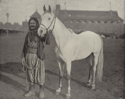 A Beduins Prize Steed alkotó: American Photographer