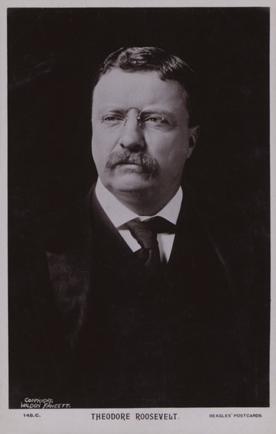Theodore Roosevelt, amerikai politikus, az Egyesült Államok 26. elnöke (fekete-fehér fotó) alkotó: American Photographer