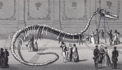 114 láb hosszú hamis tengeri kígyó „Hydrarchos harlani” csontváza, 1845 körül alkotó: American School
