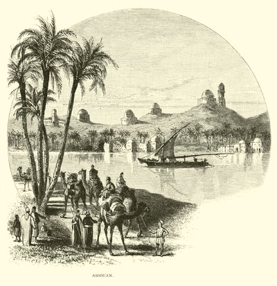 Asszuán alkotó: American School