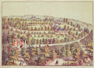 Mount Vernon madártávlatból, 1859 alkotó: American School