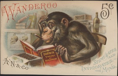 Charles Darwin, A fejlődés elmélete (azaz az evolúció) alkotó: American School