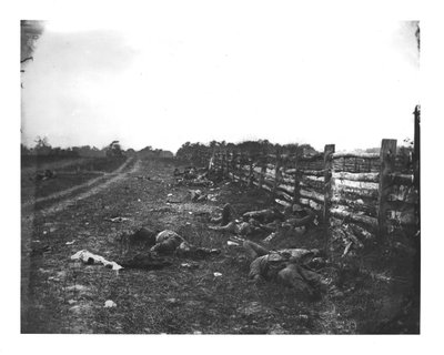 Konföderációs halottak a Hagerstown Pike nyugati oldalán, antietami csata, 1862. szeptember 19. alkotó: American School