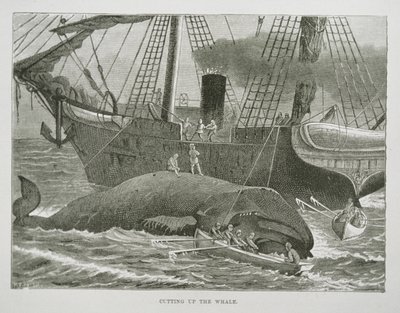 Cutting up the Whale, The American Whale Fishery, 1850 körül (metszet) alkotó: American School