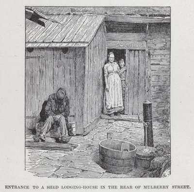 Bejárat a Shed szálláshoz a Mulberry Street hátsó részében (litho) alkotó: American School