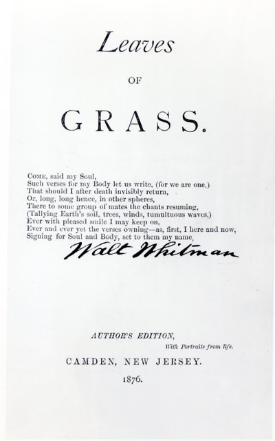 Walt Whitman (1819-92) frontispiece to Leaves of Grass, pub. 1876-ban alkotó: American School