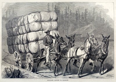 Pamut szállítása a piacra, az Egyesült Államok százéves fejlődésétől, pub. 1871-es metszet alkotó: American School
