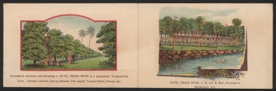 Hotel Trade Card (színes gravírozás) alkotó: American School