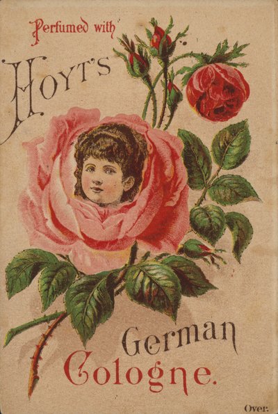 Hoyts német Köln alkotó: American School