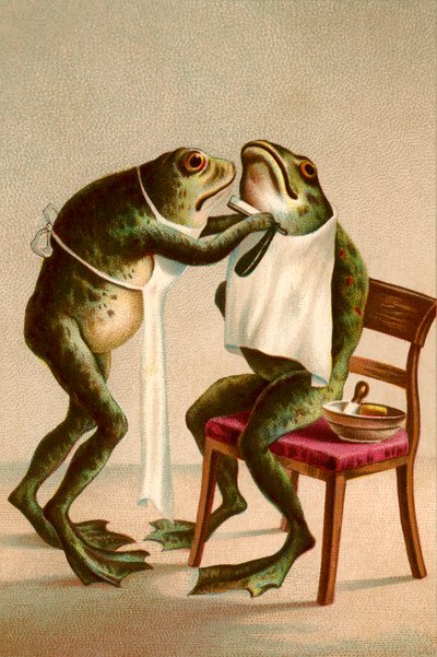 Humoros illusztráció egy béka borotválkozásáról alkotó: American School