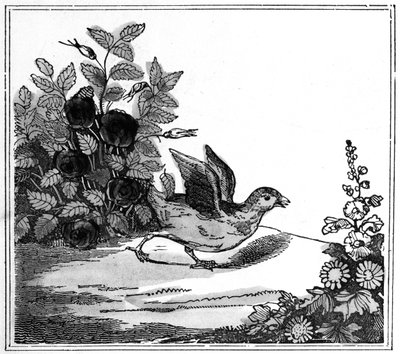 Illusztráció a Kis csirke figyelemre méltó történetéből, 1840 alkotó: American School