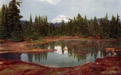 Az Oregon-hegységben (színes litho) alkotó: American School