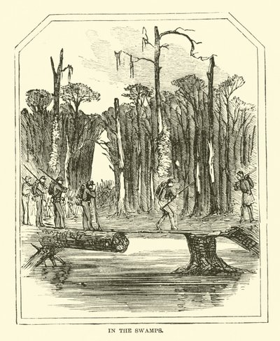 A mocsarakban 1863. márc alkotó: American School