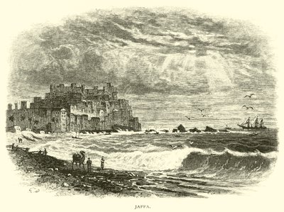 Jaffa alkotó: American School