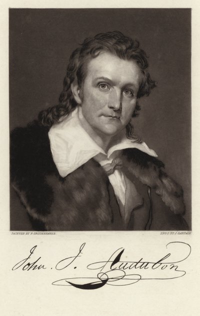 John James Audubon alkotó: American School