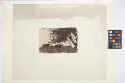 Táj (tinta) alkotó: American School