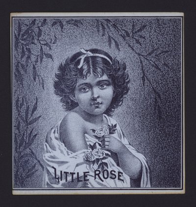 Little Rose, szivar címke (litho) alkotó: American School