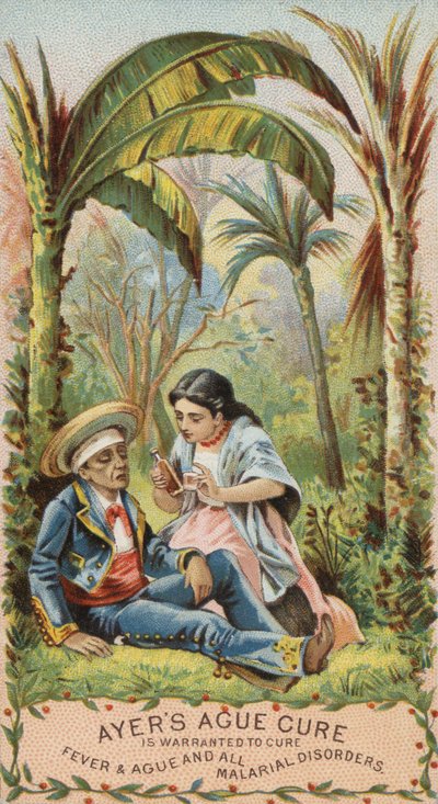 Maláriás férfi alkotó: American School
