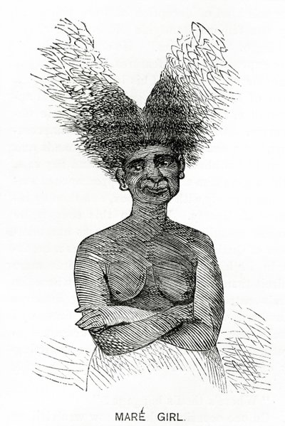 Mare Girl, illusztráció az Appletons Journalból, 1872. május 4 alkotó: American School