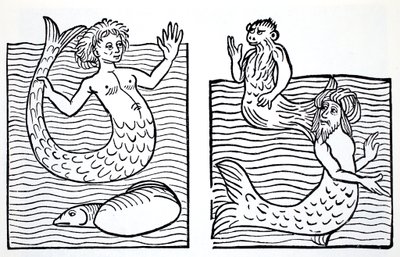 Sellők és sellők, Thomas Keightley (1789-1872) The World Guide to gnómok, tündérek, tündék és más kisemberek című könyvéből, Megjelent 1880, (BW gravírozás) alkotó: American School