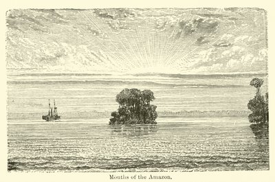 Az Amazonas szája alkotó: American School