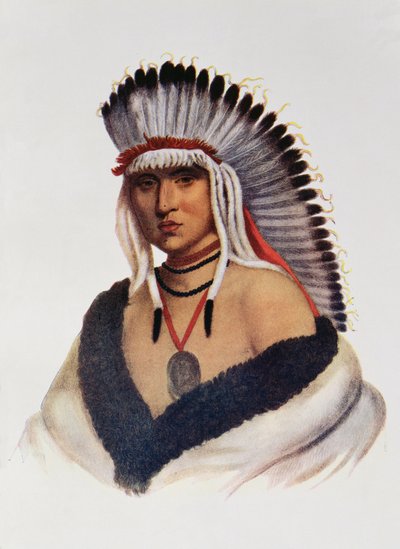 Petalesharro, a Pawnee Brave, illusztráció a „The Indian Tribes of North America, Vol.1”, Thomas L. McKenney és James Hall, pub. szerző: John Grant (színes litó) alkotó: American School