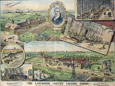 A Lancaster megyei vakcinafarmok terve, Nebraska alkotó: American School