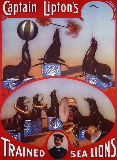 A "Lipton kapitány kiképzett tengeri oroszlánjait" reklámozó plakát, 1905 körül (színes litográfia) alkotó: American School