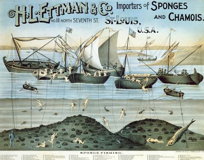 H.L. Ettman & Co., Szivacs- és zergeimportőrök, 1897-es plakát alkotó: American School