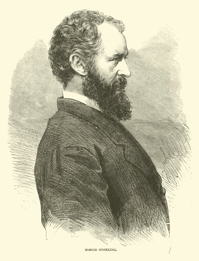 Roscoe Conkling, 1866. január alkotó: American School