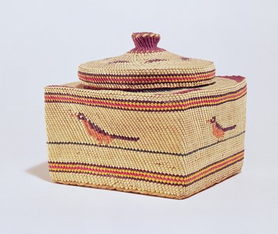Madarakat ábrázoló salish kosár az északnyugati partról (szövött szál) alkotó: American School