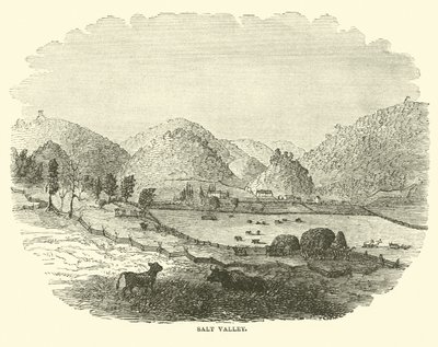 Sóvölgy, 1864. december alkotó: American School