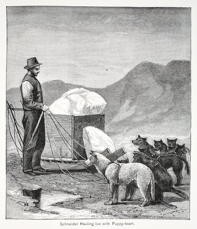 Schneider jeget cipel a Puppy-team, kocsma. London 1886 alkotó: American School