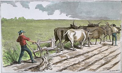 Sodbusters of the American West, 1880 körül (színes metszet) alkotó: American School