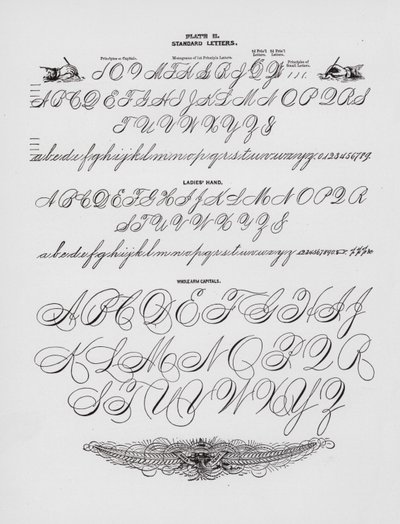 Szabványos levelek; Női kéz; Egész karú nagybetűk (metszet) alkotó: American School