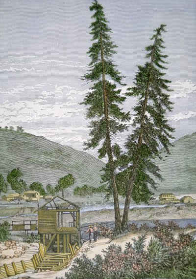 Sutter malma alkotó: American School
